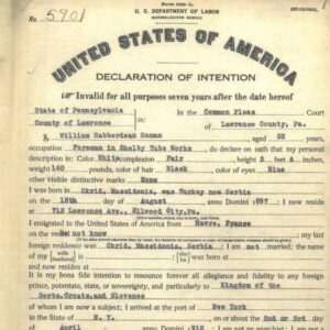 declaration of intention sample 1906