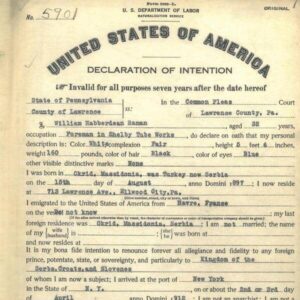 declaration of intention sample 1906
