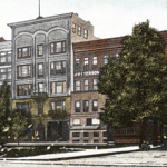 Read more about the article Historic Tree with a “Shady” Past