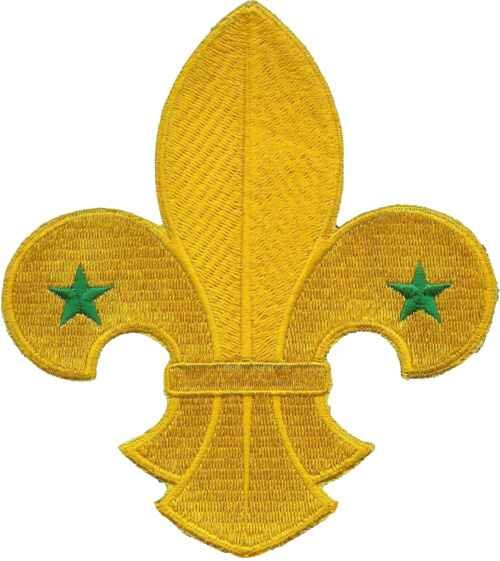 Scouting fleur-de-lis