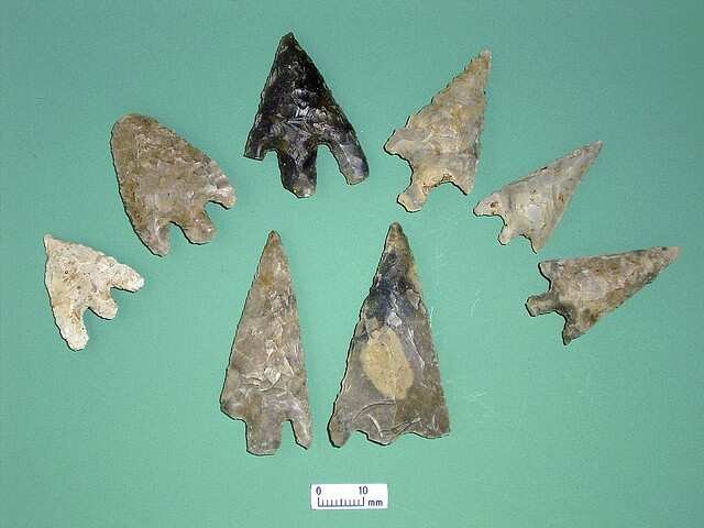 Photo of barbed and tangled arrowheads courtesy of Wessex Archaeology.