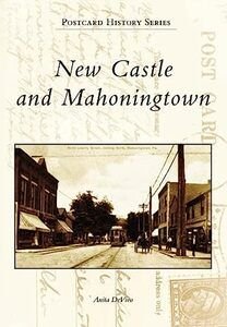 book cover of new castle & mahoningtown by Author anita devivo