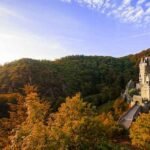 Read more about the article Germans to America (Heinz History Center Affiliate Workshop)