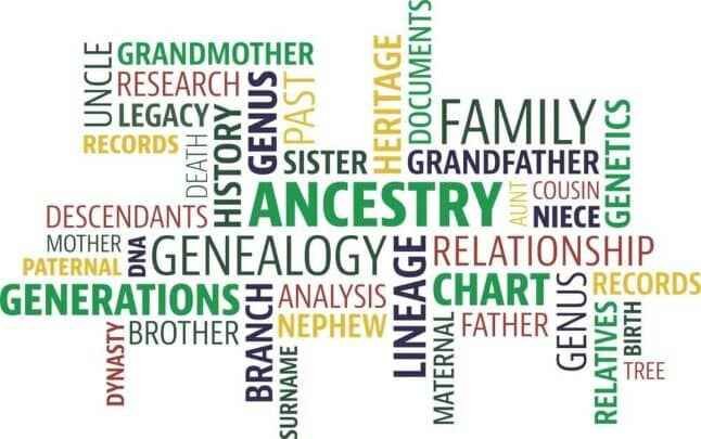 Genealogy 101